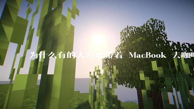 为什么有的人喜欢带着 MacBook 去咖啡店或者书店上网，而不是 ThinkPad 之类的？