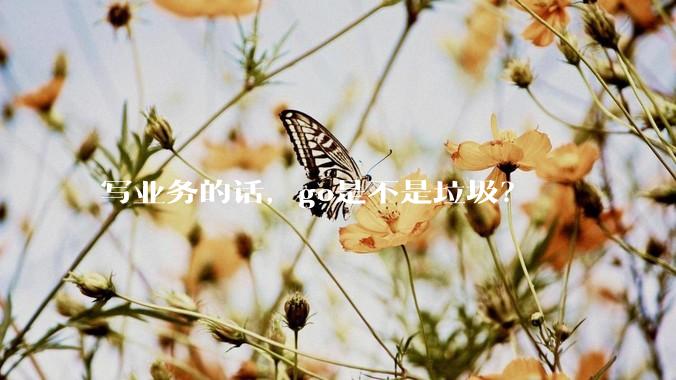 写业务的话，go是不是垃圾？