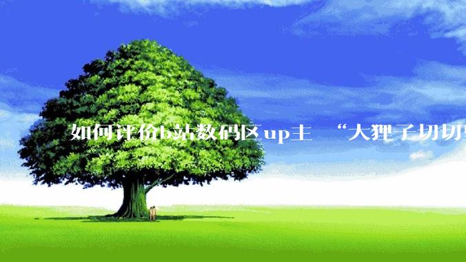 如何评价b站数码区up主 “大狸子切切里”?