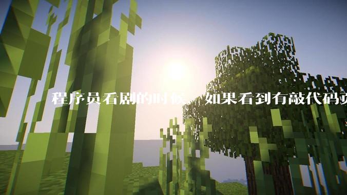 程序员看剧的时候，如果看到有敲代码页面，会暂停看代码吗？