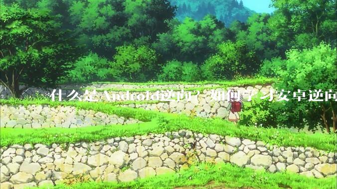什么是Android逆向？如何学习安卓逆向？