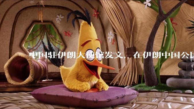 中国驻伊朗大使馆发文，在伊朗中国公民尽快通过陆路边境口岸转道回国或离境，哪些信息值得关注？