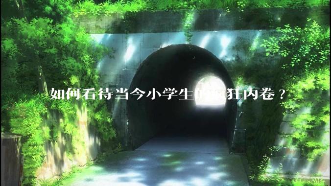 如何看待当今小学生的疯狂内卷?