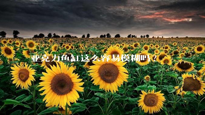 亚克力鱼缸这么容易模糊吗?