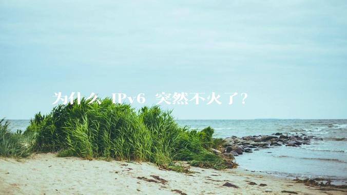为什么 IPv6 突然不火了？