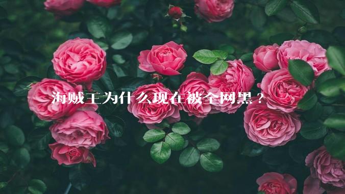 海贼王为什么现在被全网黑?