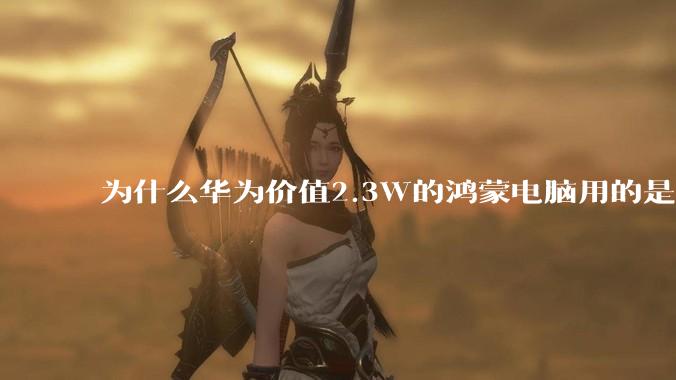 为什么华为价值2.3W的鸿蒙电脑用的是美国西数的中低固态硬盘？？