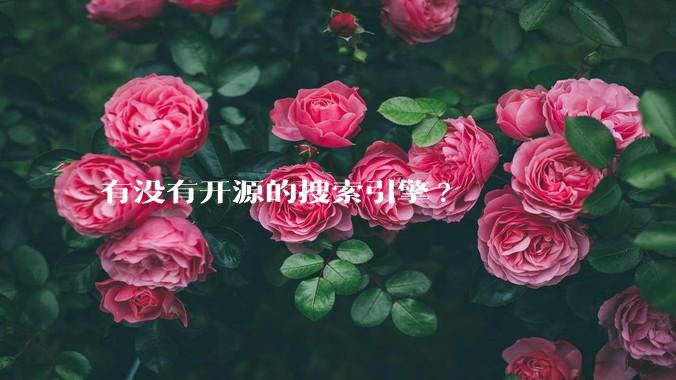 有没有开源的搜索引擎?